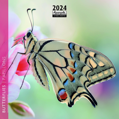 Calendrier 2024 Papillons