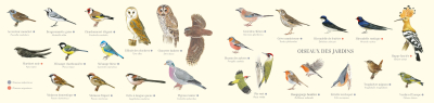 Carte Postale double 21 x 10 cm - Oiseaux des jardins