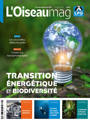 L'oiseau Magazine N°156 - Automne 2024