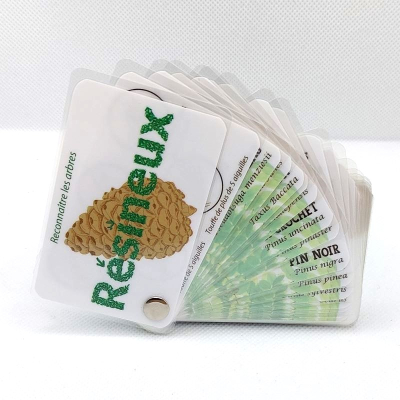 Guide de reconnaissance de la faune et de la flore - Les arbres