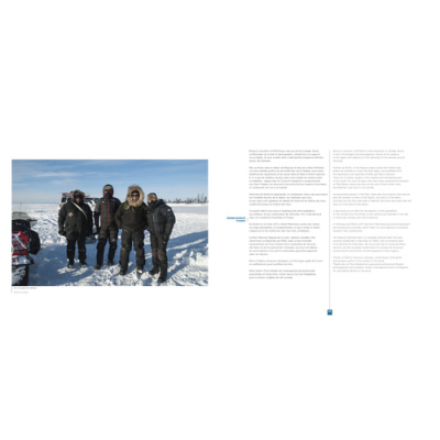 Wapusk, Ours Polaires