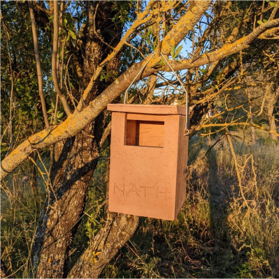Nichoir à rougequeue semi-ouvert en béton de bois