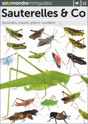 Miniguide Sauterelles & Co