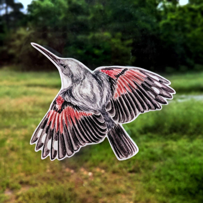 Anti-collisions électrostatiques Oiseaux des montagnes - Lot de 4