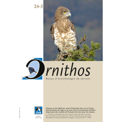 Ornithos N°24/3, Mai-Juin 2017