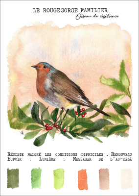 Carte postale - Le Rougegorge familier