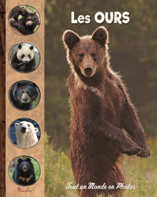 Tout un monde en photos : Les ours
