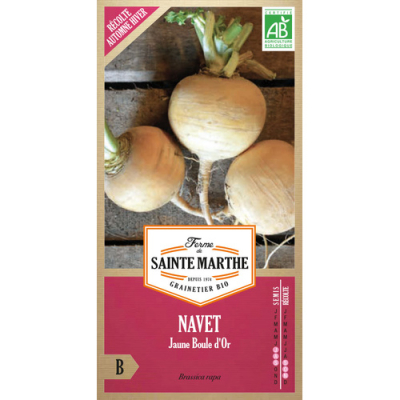 Graines Bio Navet Jaune Boule d'or