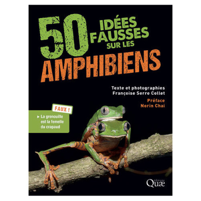 50 idées fausses sur les amphibiens