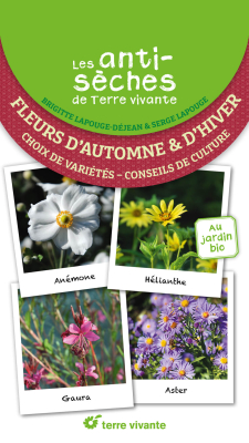Fleurs d'automne et d'hiver - Les antisèches de Terre Vivante
