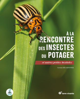 À la rencontre des insectes du potager - Et autres petites bestioles