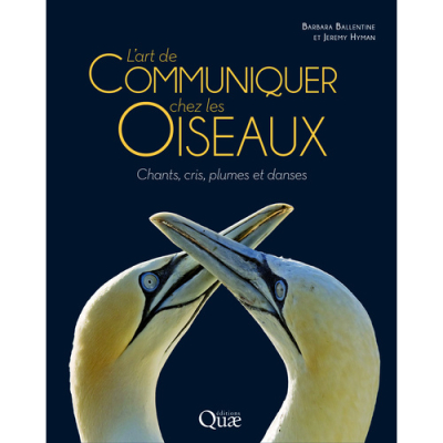 L'art de communiquer chez les oiseaux