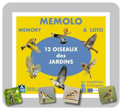 Memolo XL - 12 oiseaux des jardins