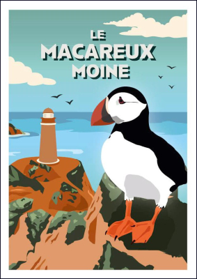 Carte postale LPO vintage Macareux