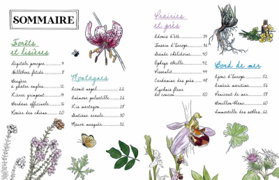Mon carnet naturaliste à colorier - Fleurs