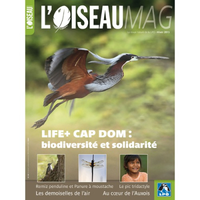 L'Oiseau Mag n°121