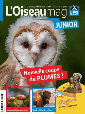 L'Oiseau Magazine Junior n°64 - Automne 2026
