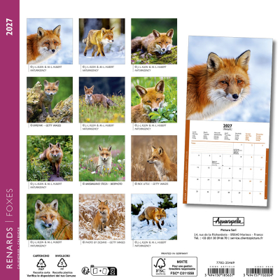 Calendrier 2027 Renards 16,5 x 16,5 cm