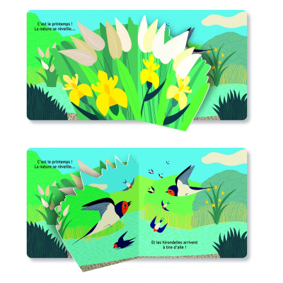 Hirondelle, imagier cartonné