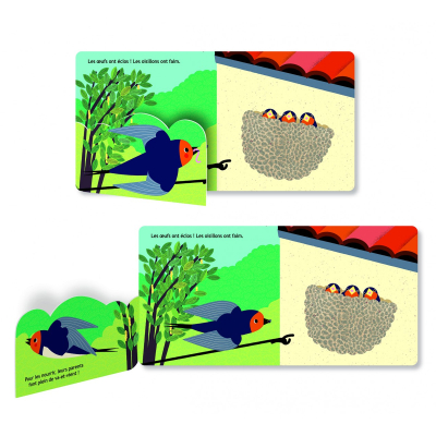 Hirondelle, imagier cartonné