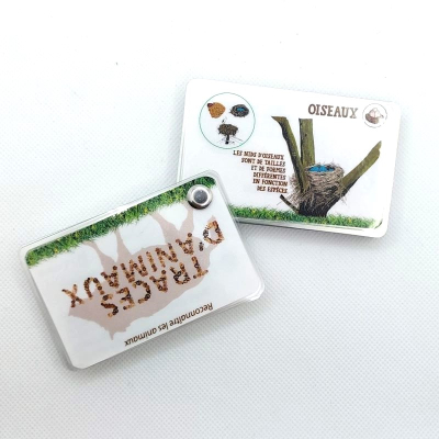 Guide de reconnaissance de la faune et de la flore - Les traces d'animaux