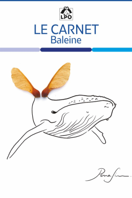 Carnet LPO - Baleine