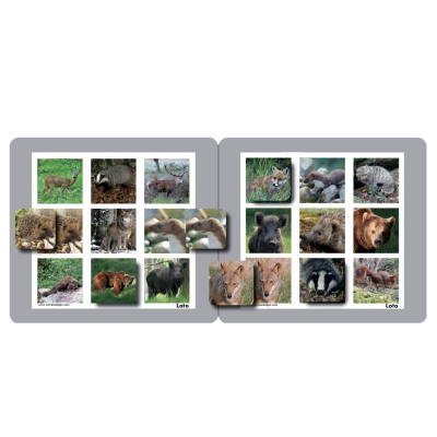 Memolo XL - 12 animaux des forêts