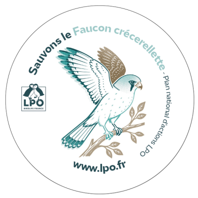 Autocollant LPO PNA - Sauvons le Faucon crécerellette