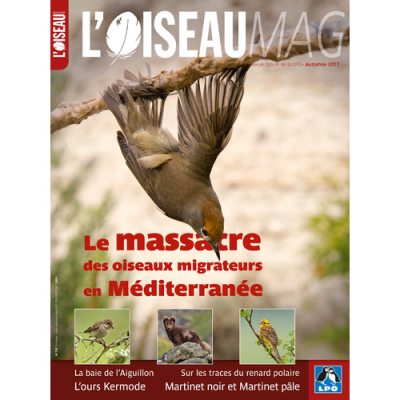 L'Oiseau Mag n° 128
