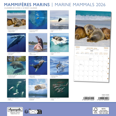 Calendrier 2026 Mammifères marins 30 x 30 cm
