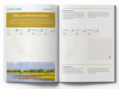 Agenda Chants des oiseaux 2026