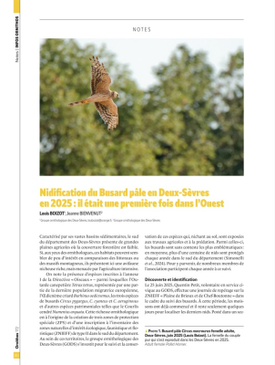 Ornithos n°172 - 3ème trim. 2025