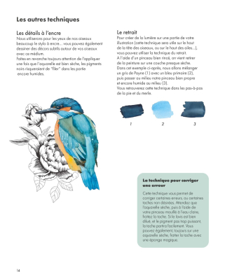 Aquarelle reconnaître peindre les oiseaux des jardins et des forêts