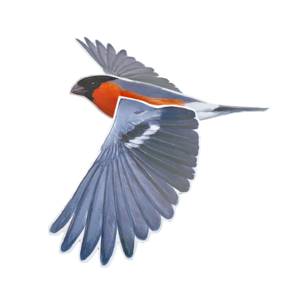 Lot de 4 mobiles Oiseaux n°2 - LPO x CPN