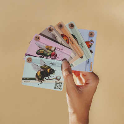 Budizz, le jeu de cartes coopératif
