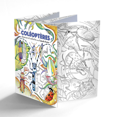 Coléoptères
