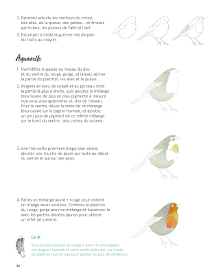 Aquarelle reconnaître peindre les oiseaux des jardins et des forêts
