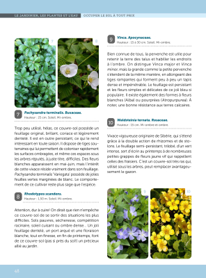 Un jardin sans arrosage ou presque