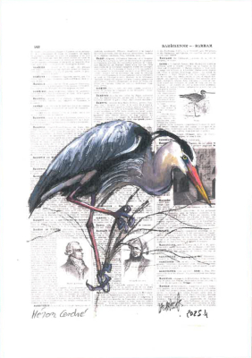 Carte postale collection d'art - Héron cendré