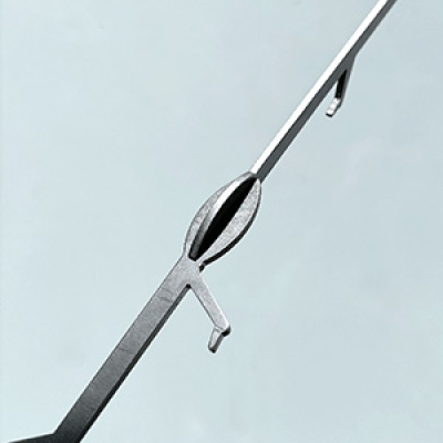 Tuteur de plante Abeille domestique