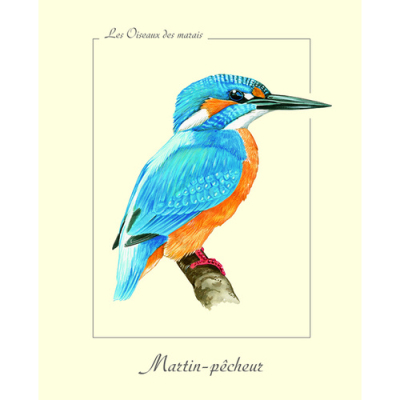 Affiche naturaliste, Martin pêcheur