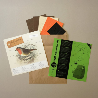 Origami Rougegorge familier 3D en papier, DIY