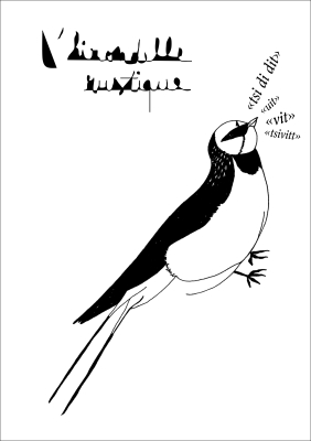 Carte collection d'art Hirondelle rustique - Marion Domanski