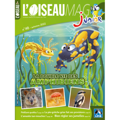 L'Oiseau Magazine Junior n°48