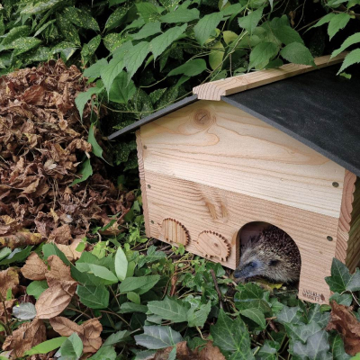 Kit Abri à hérisson, La Villa