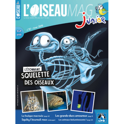 L'Oiseau Magazine Junior n°37