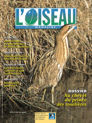 L'Oiseau Mag n° 77