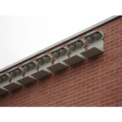 Nid de façade pour Hirondelle de fenêtre