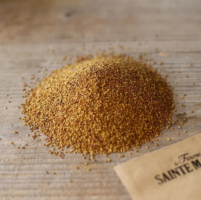 Graines Bio Engrais vert - Trèfle Incarnat annuelle 60 m²