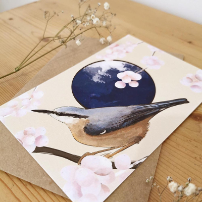 Carte postale Sittelle torchepot